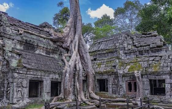 Ta Prohm Temple